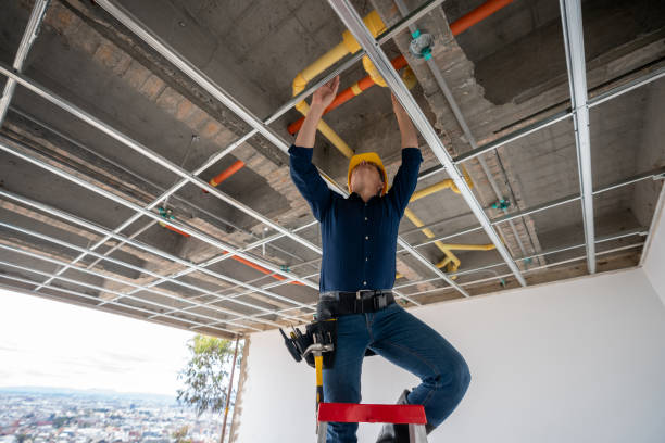 Best Plumbing Services Near Me  in Laurel Hill, VA